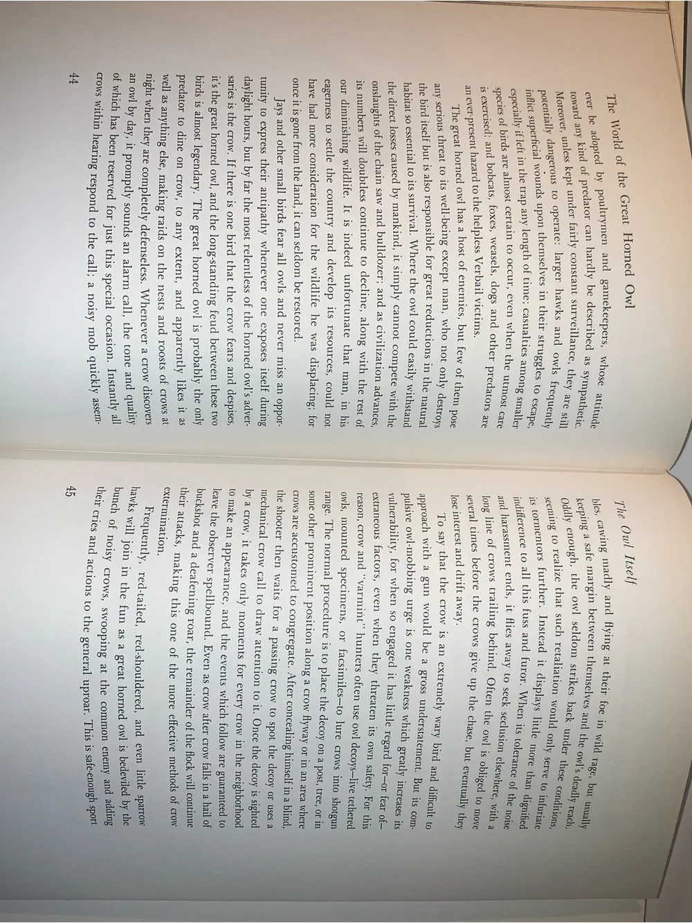 The World of the Great Horned Owl - John B Holy